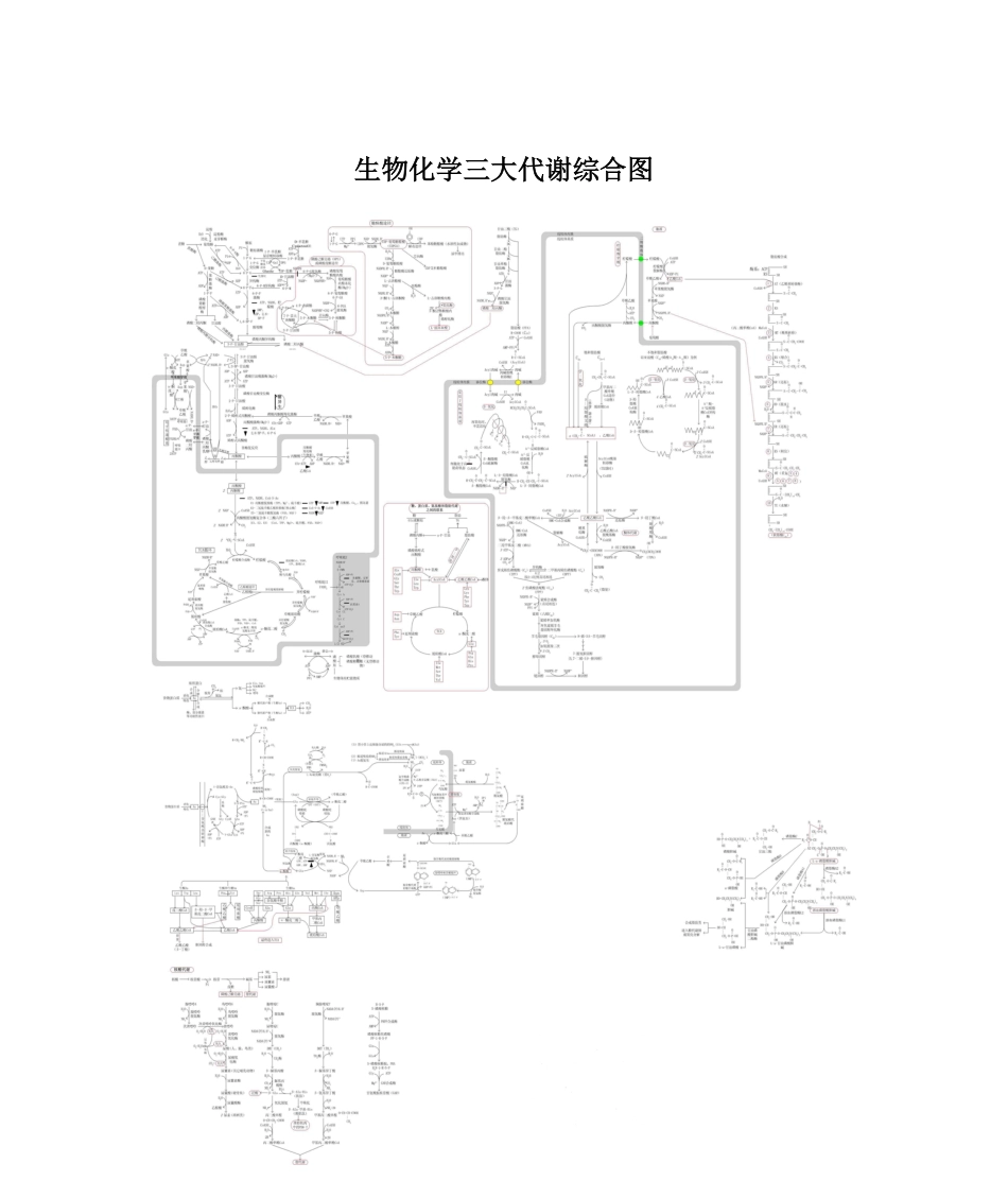 生物化学三大代谢综合图.pdf_第1页