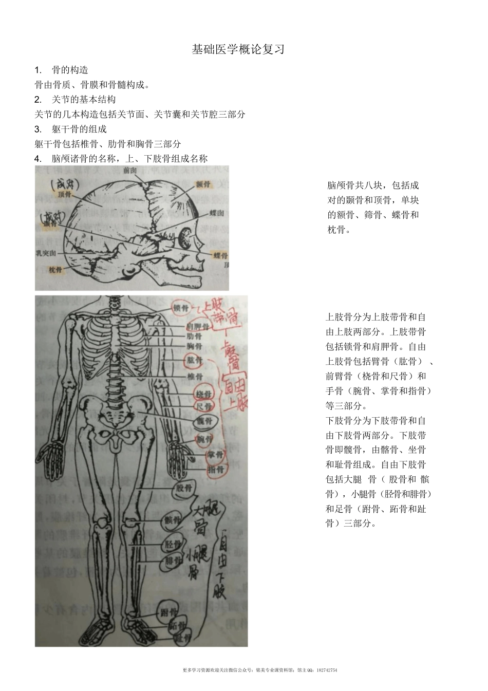 基础医学概论复习.doc_第1页